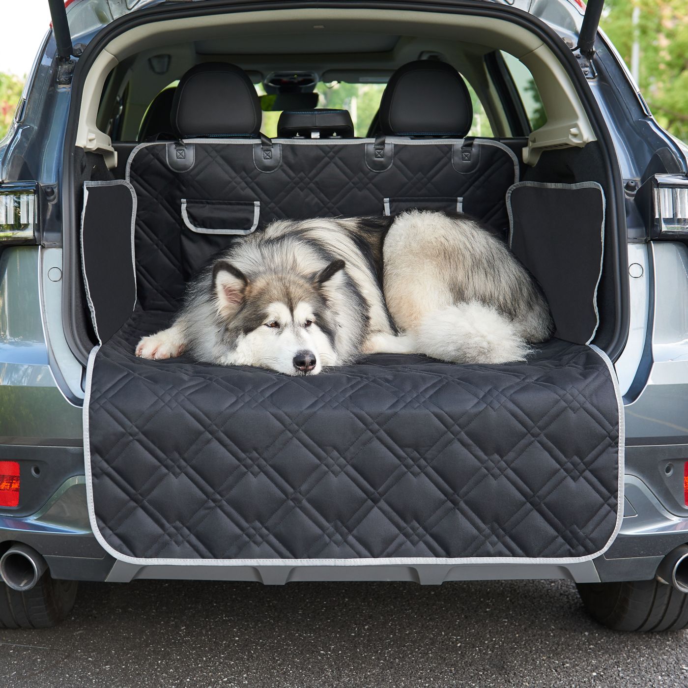 Housse protection voiture chien