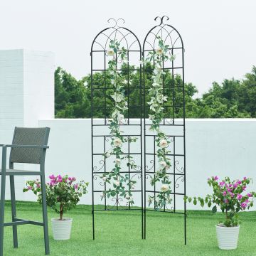 Treillis de jardin en set de 2 pièces Barrea acier 220 x 102 cm noir casa.pro